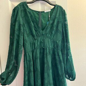 Citlalli Floral Plunging Long Sleeve A-Line Mini Dress